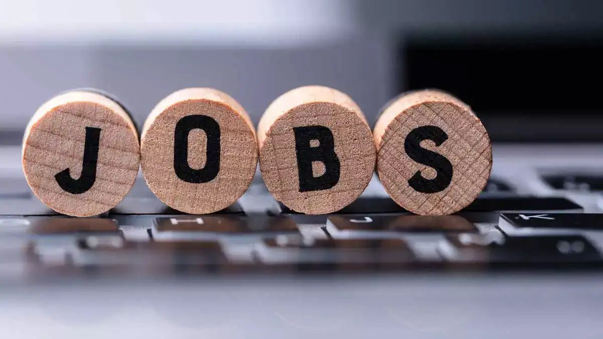 SSC Vacancy: एसएससी ने 2400 से ज्यादा पदों पर निकाली भर्ती, 10वीं-12वीं और ग्रेजुएट पास के लिए शानदार मौका
