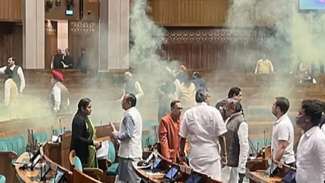 Relief to Neelam-Mahesh accused of Parliament Security Breach